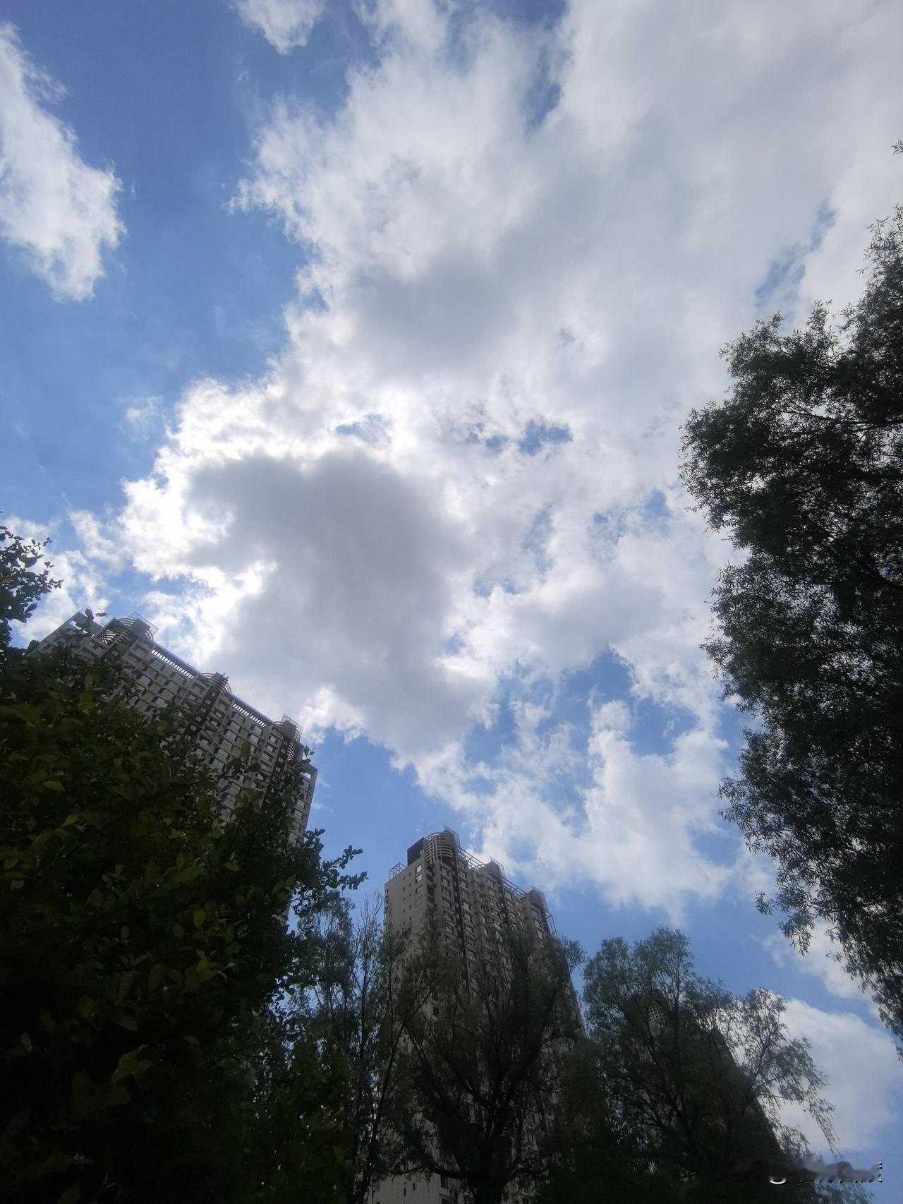 今天上午是夹阴天。
忽然，莫名其妙的感觉，
心情特别的落寞，
没有理由的落寞。
