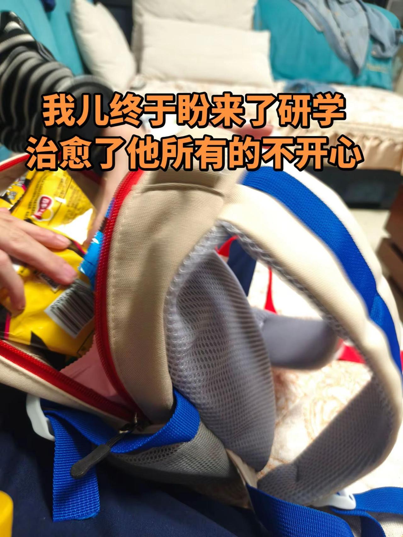 前两天得不到研学的消息，他都要抑郁了，我劝他说：据说研学都是骗小孩钱的。他说：我