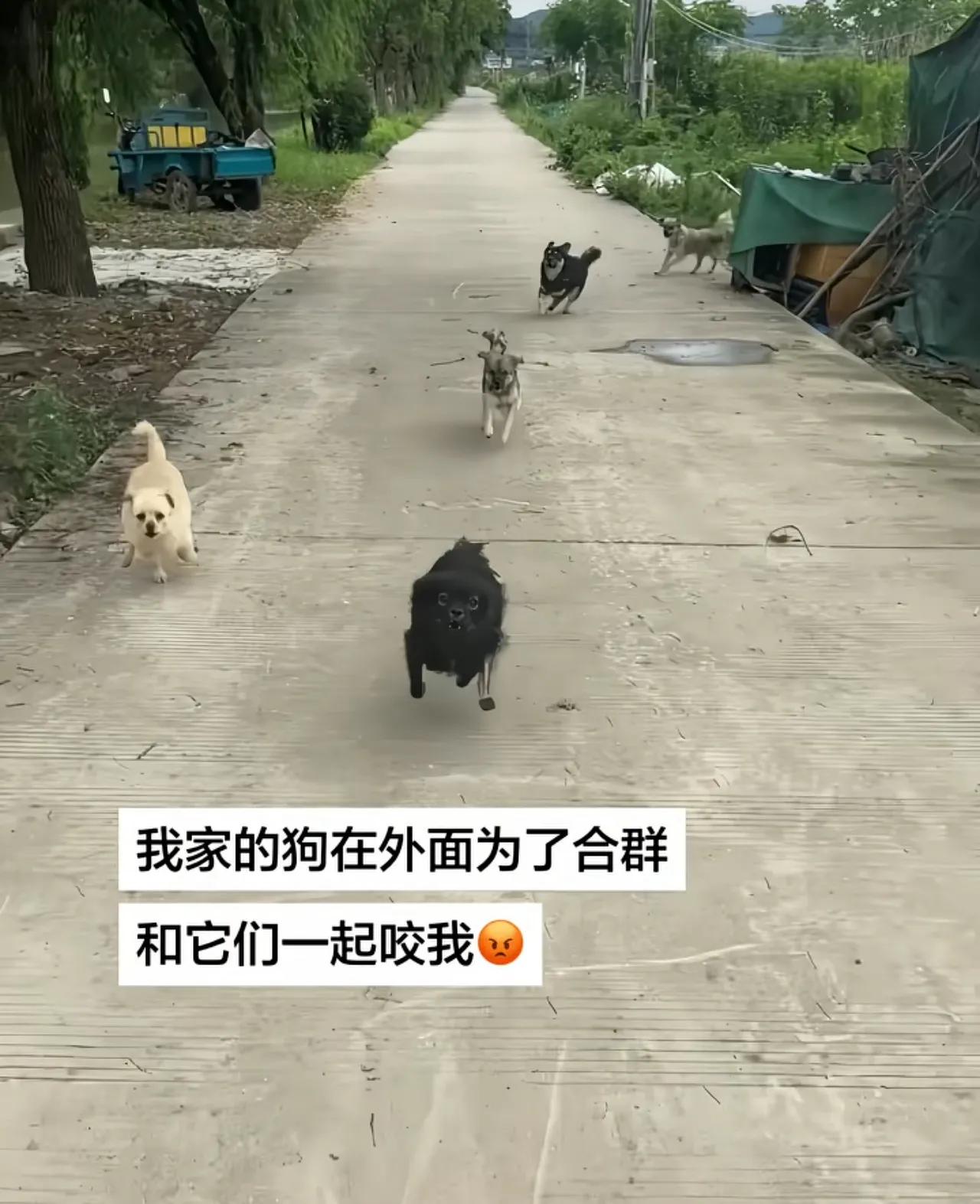 一个网友发的日常。
我觉得他低下头写文案的那个瞬间，他是个智者。
因为这个遭遇与