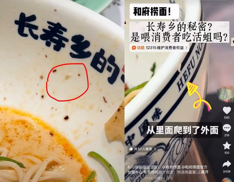 #和府捞面回应吃出蛆虫# 【消费者称在汤面中吃出蛆虫，和府捞面回应：暂未查出类似