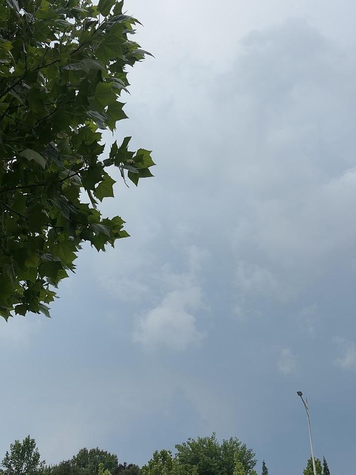 黑心老板心太黑，
赶紧曝光他是谁？
残酷剥削残障者，
彻头彻尾害民贼。
朗朗乾坤