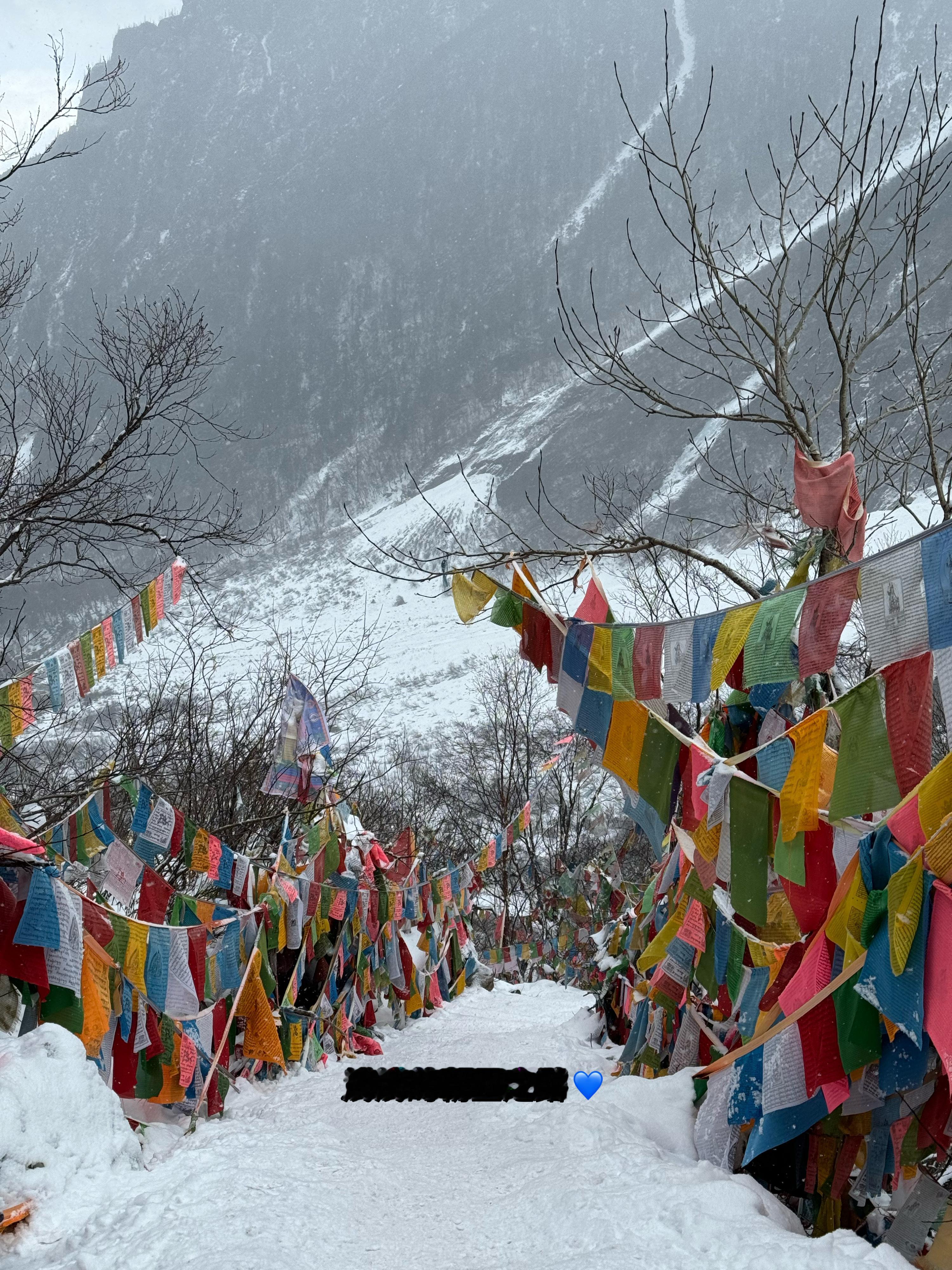 在雨崩的日子 头脑放松 身心愉悦眼前是白色的雪 山 绿色的大树 彩色的经幡治愈 