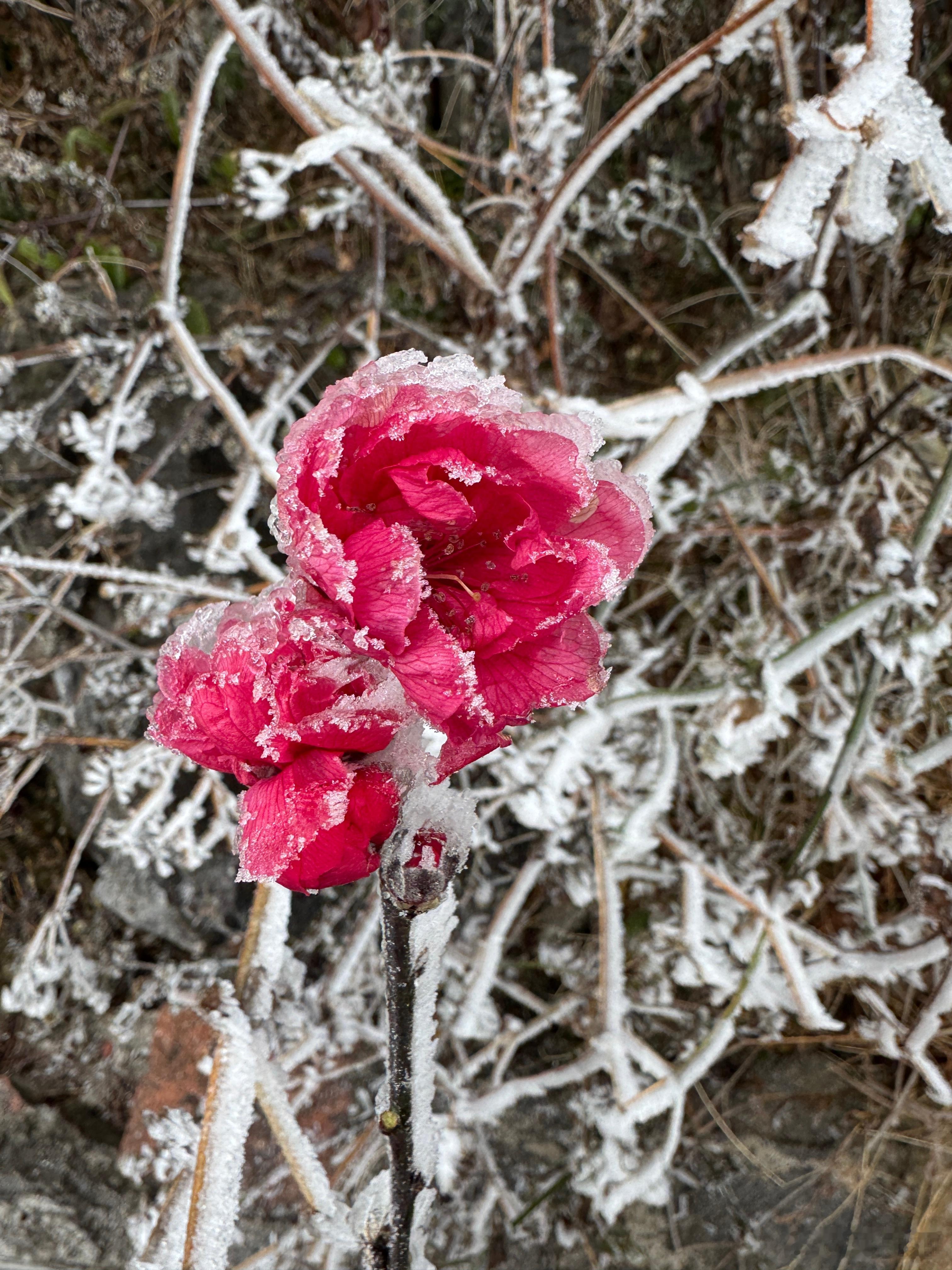老天要渡一个人，从不是顺境，而是拿你放不下的执念，一次次磨醒你，股海这条路，有泪