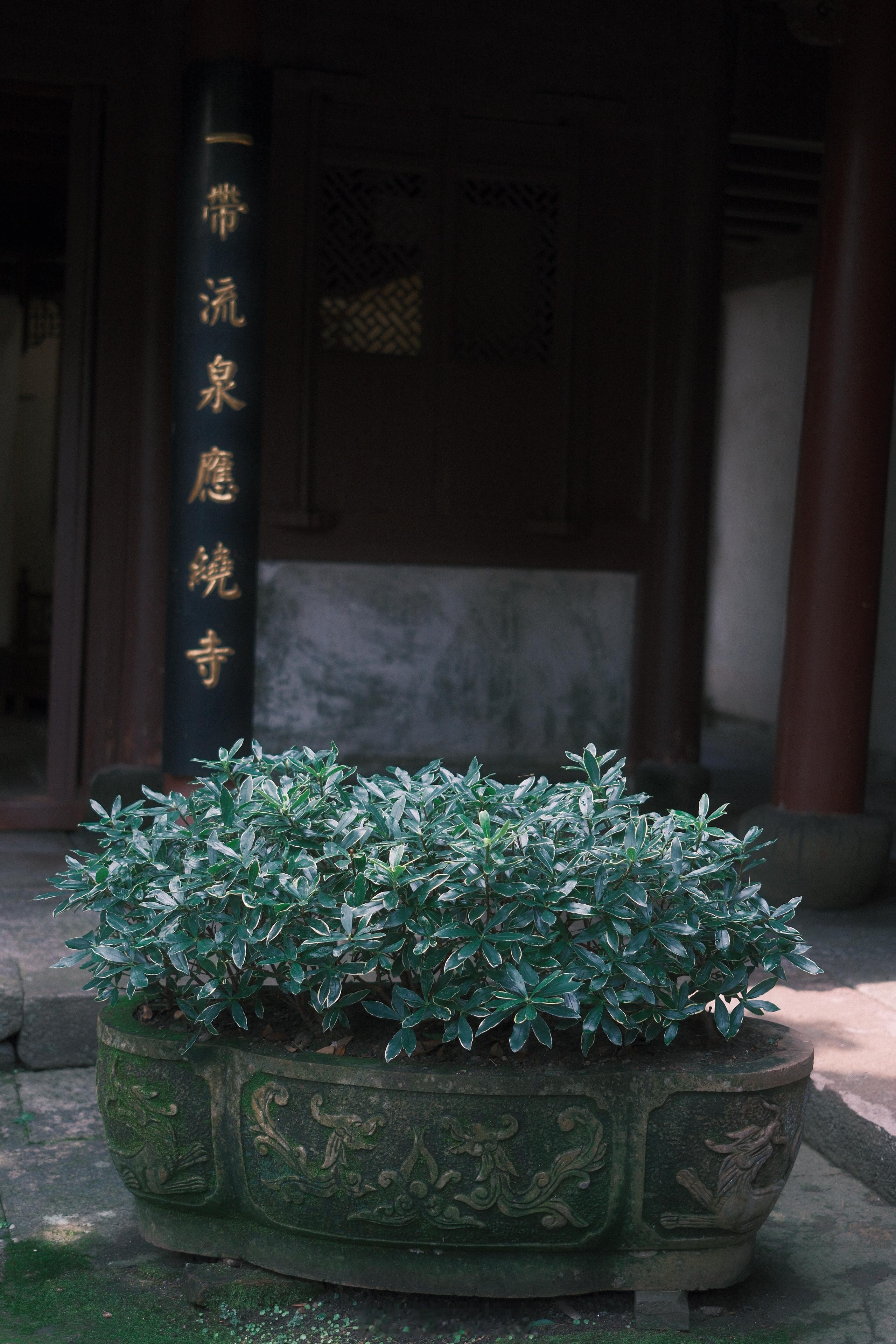 ——一代人只能做一代人的事情。年轻时读到这样的句子总是不以为然的，现在却觉得的确
