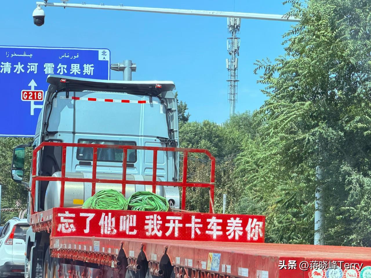 “忘了他吧，我开卡车养你”，斗大的字，这算是迄今见过的最霸气，也最有创意的征婚广