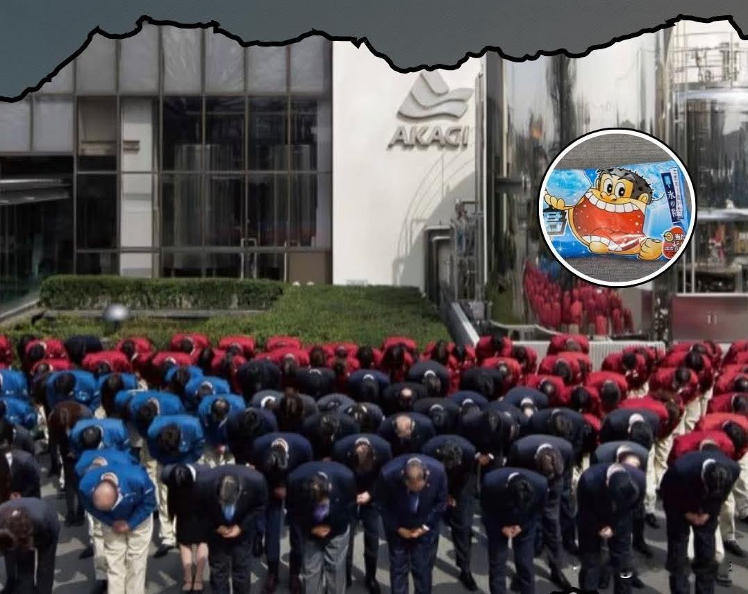 一家日本冰淇淋企业凭借其诚恳的公开致歉迅速在网络上引发关注。这家公司仅将产品价格