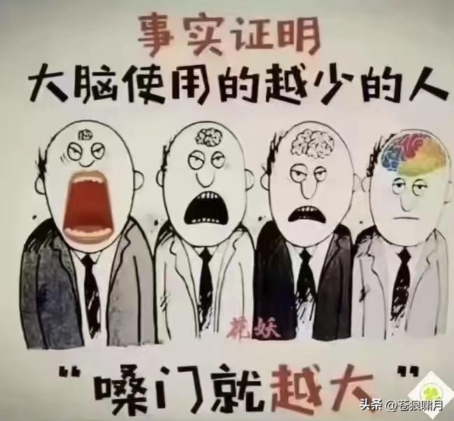 网络格言三则，让苍狼感觉回味无穷！1.愚蠢的人不可能真正善良。因为愚蠢的人，是非