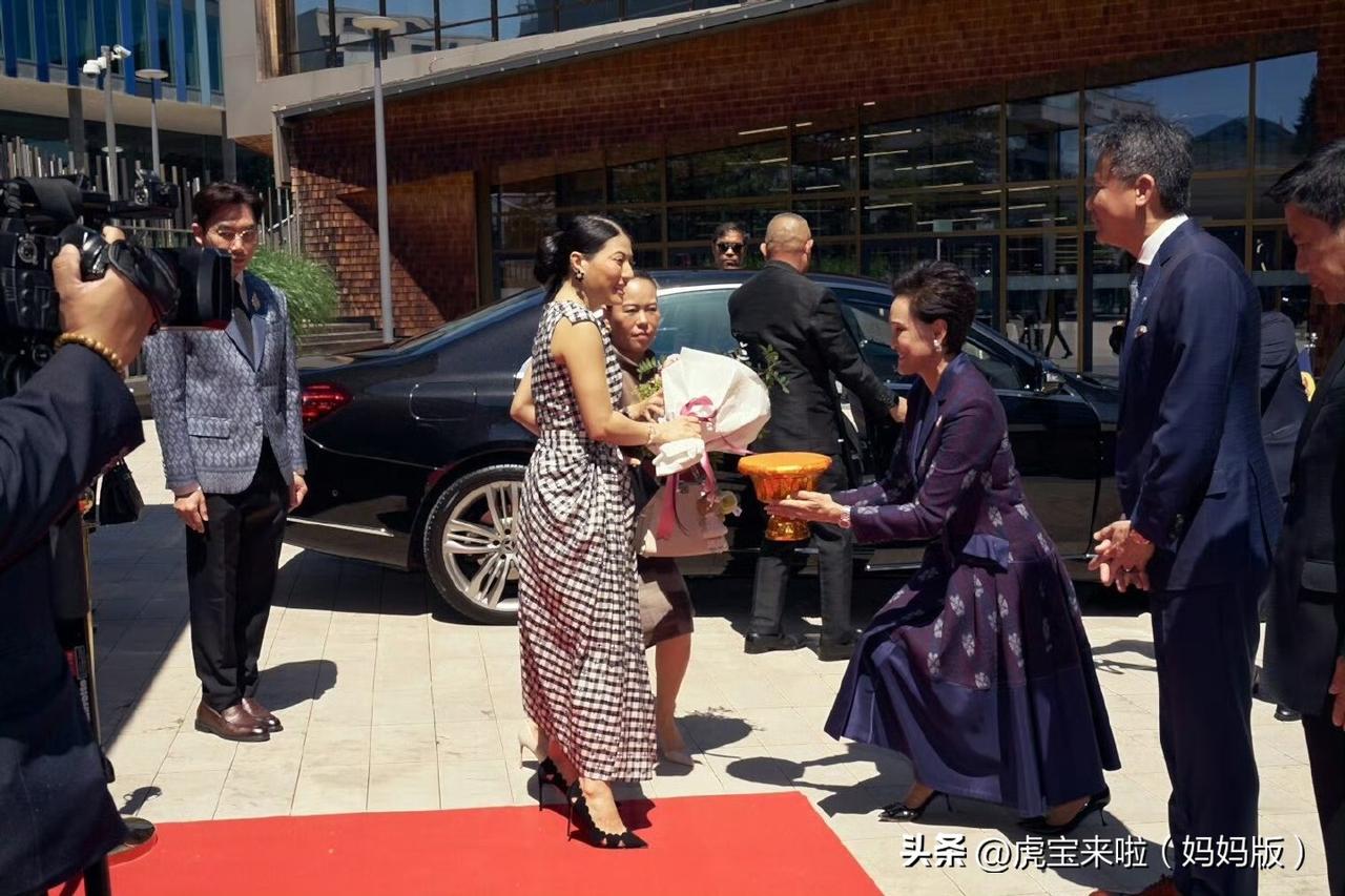 贵气养人啊！感觉思蕊梵公主职责权利都上涨了！在日内瓦参观世界知识产权总部，被任命