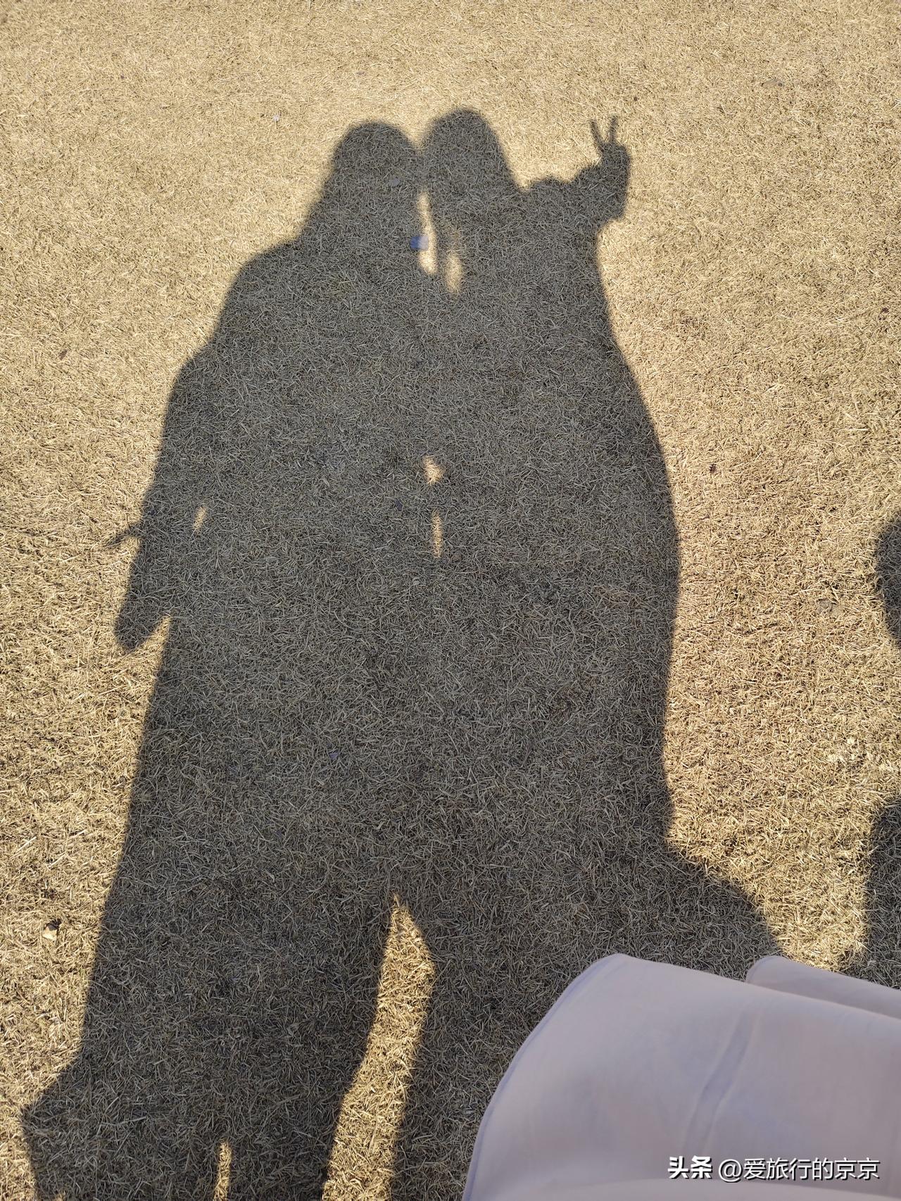 晒图笔记大赛和宝宝徜徉在早春的草地上，黄绒绒的小草还没脱去冬衣，阳光正好，微风不