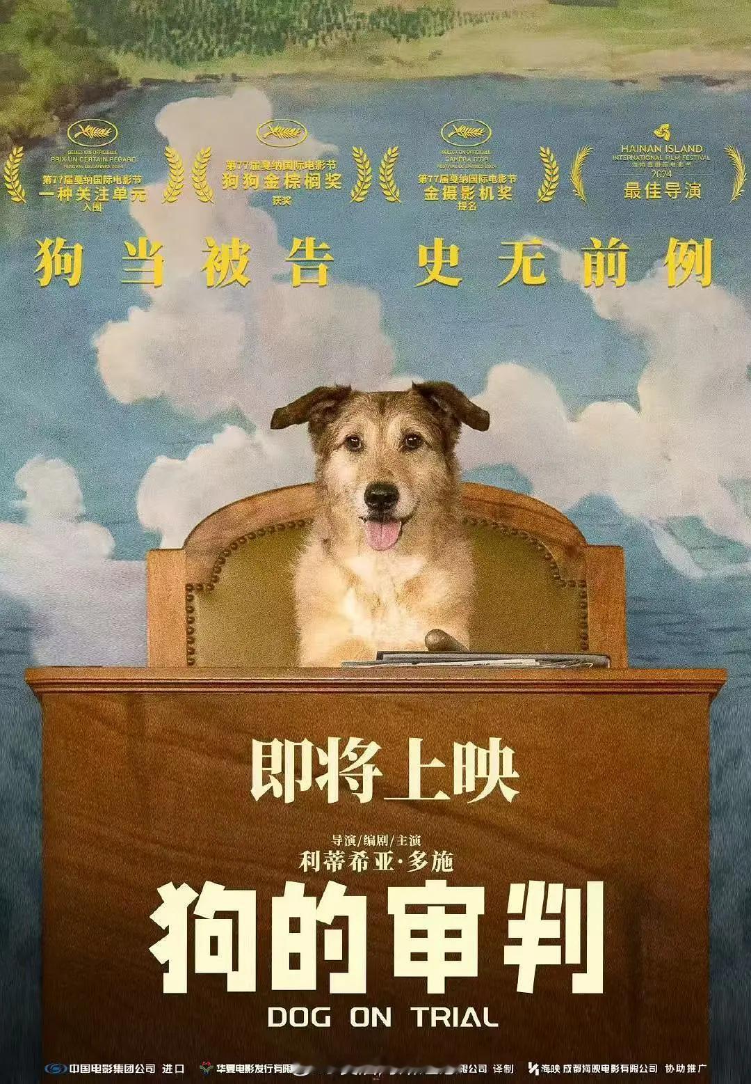 年度荒诞电影《狗的审判》内地定档1.7日上映，看豆瓣是7.3分，但友邻好像给的评