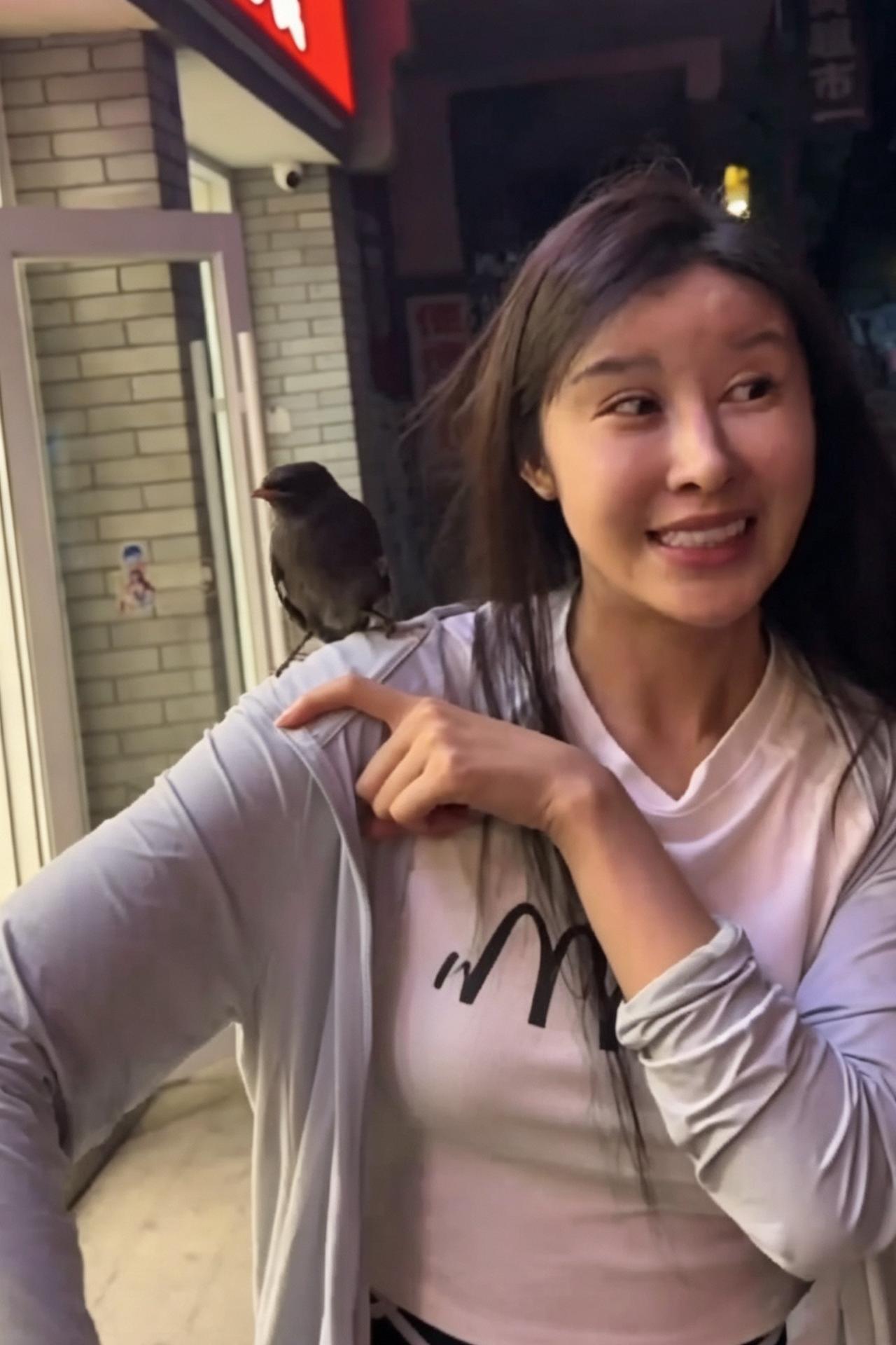 江西修水县一女子和朋友在外面吃饭,一只鸟突然飞到桌上落在她身上不肯走,她随口说了