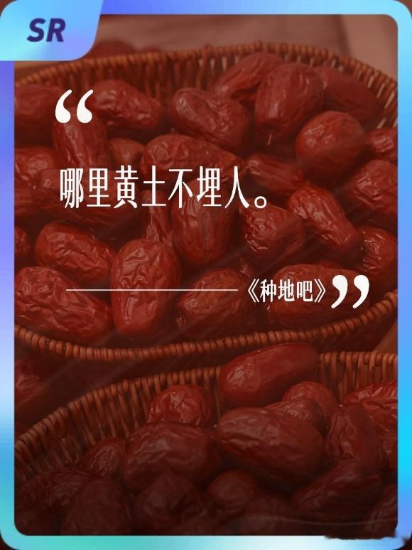 种地吧小卡含泥量好高谁见过这么接地气的周边小卡！别的偶像靠氛围感出圈，十个勤天靠