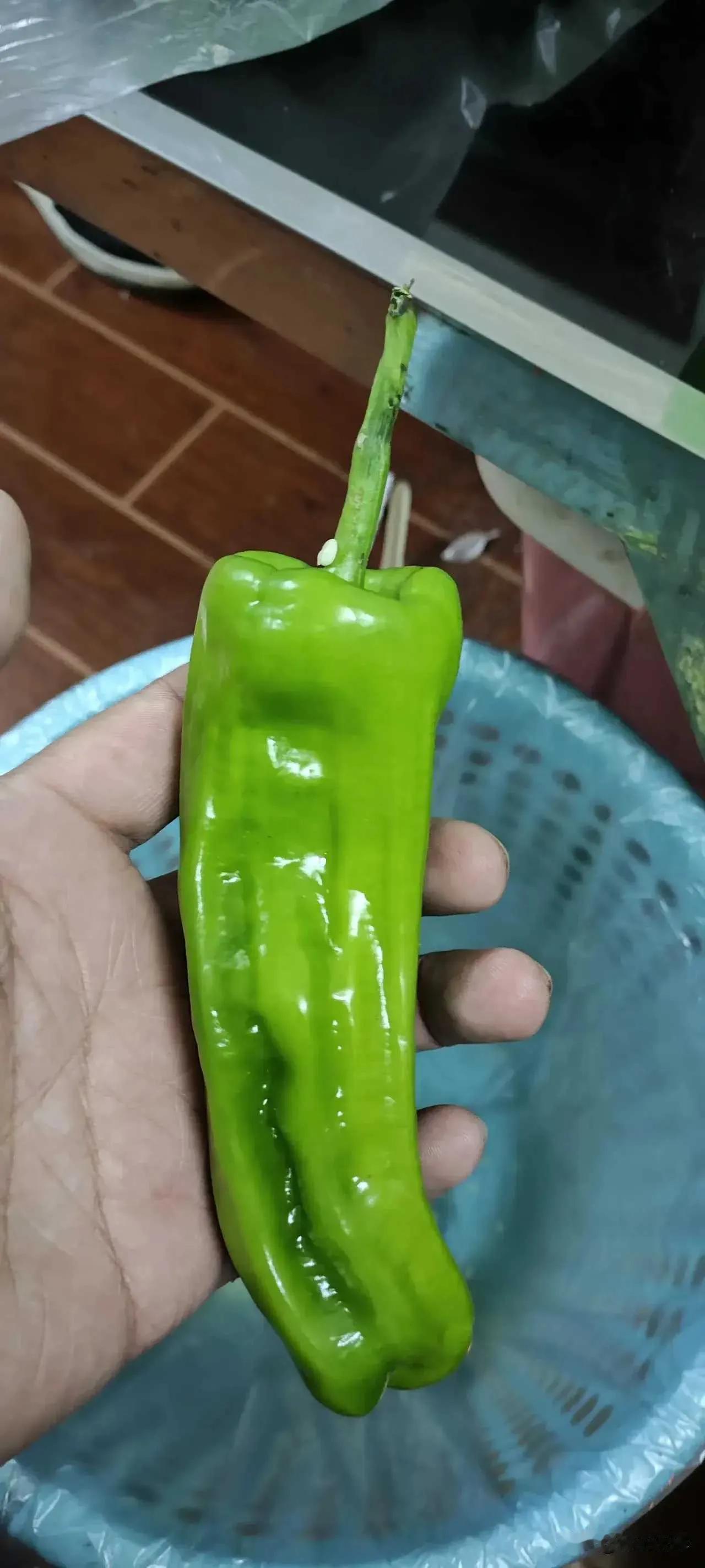【话题热议】舌尖上的安全：在“铜”光闪烁中，我们还能找到哪些放心青菜？

在这个