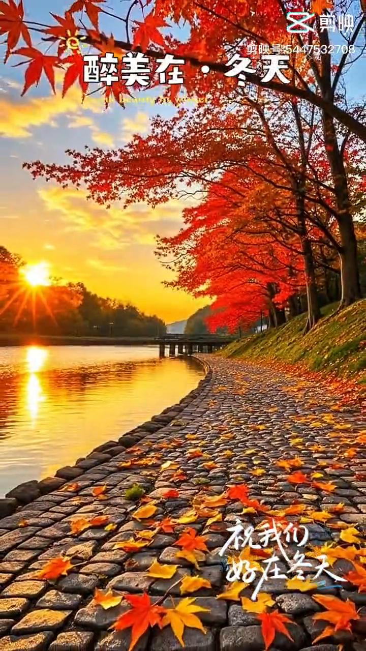 醉美在·冬天。
祝我们好在冬天。