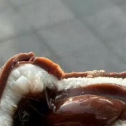 阳光信用‎阳光‎信用‎每日一善实时号检测 七月过的好快，暑假已经过半了，八月也要