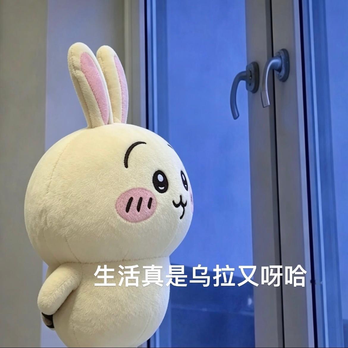 重仓机器人和芯片的我最近真的心如刀割 