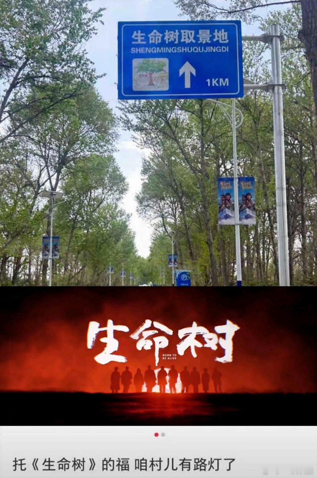 杨紫《生命树》这部剧的意义真实化了，一部剧能实实在在为老百姓带来了益处