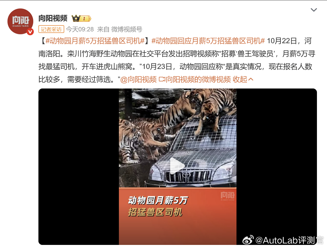 最需要智能驾驶的一集[doge]动物园月薪5万招猛兽区司机 ​​​
