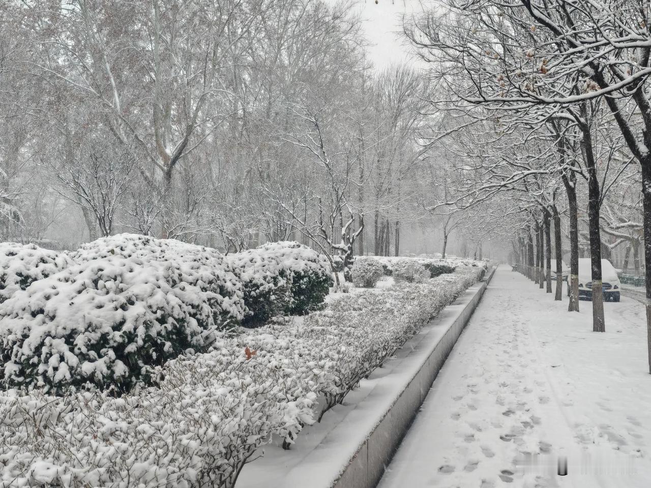 分享一组最美雪景图片周村也下大雪了！