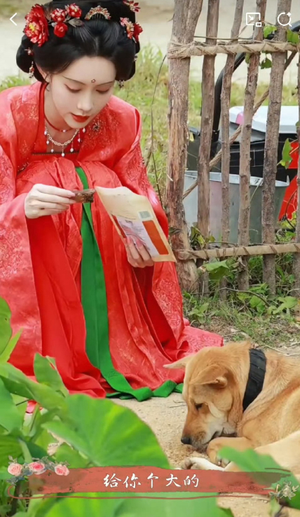 孟子义走到哪带到哪的“显眼包”爱犬，巧克力早就凭自带笑点的名场面圈粉无数，不仅有