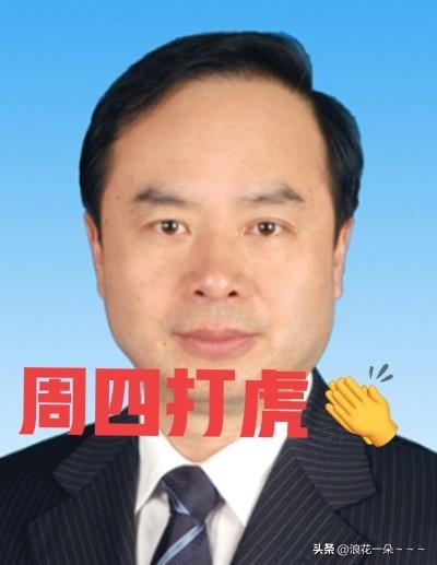 就在刚刚，
看了“界面快讯”新闻，“王奇”被查，于是看了一下他的履历，64岁的他