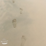 小鸭嘴吹娱乐