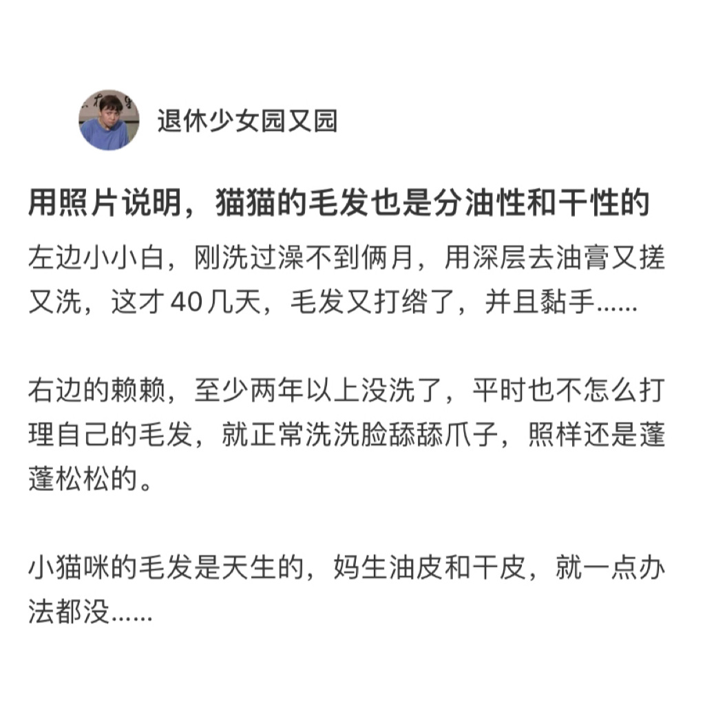 原来小猫的毛发也分干皮和油皮[收到] ​​​