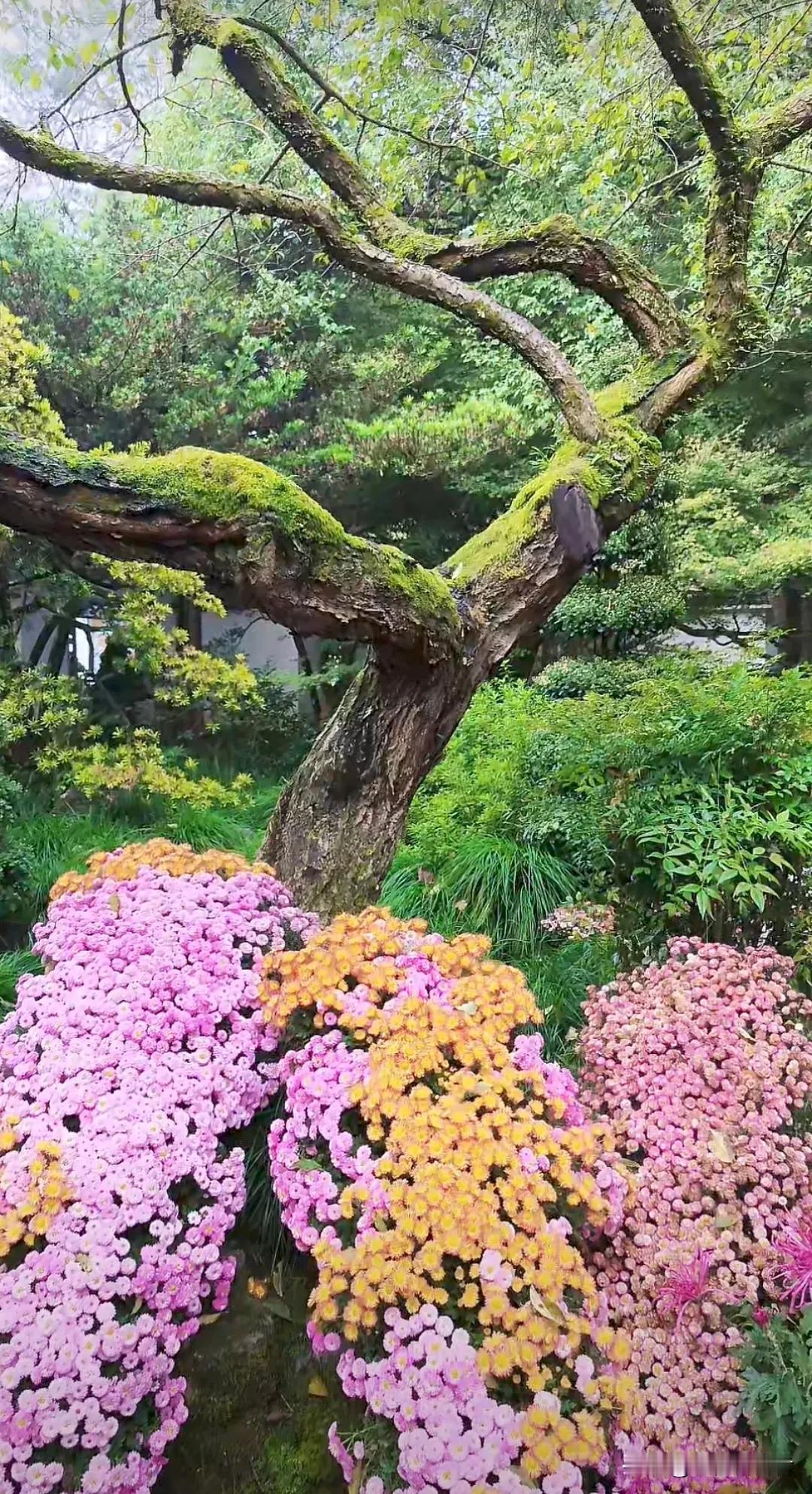 #上联：月落西山大地暗；请接下联#
上联：月落西山大地暗；
下联:   人老晚年