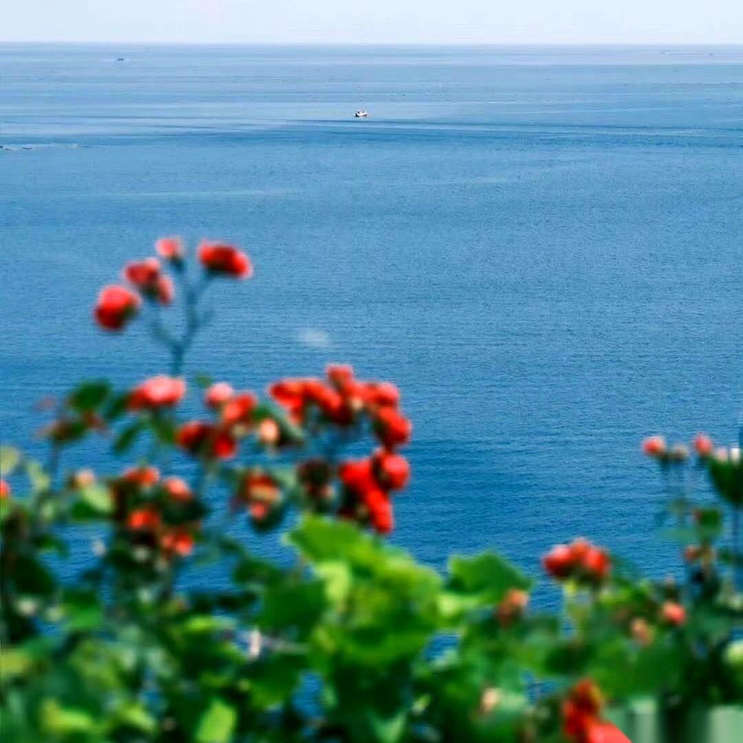 “3天了！我爸3天没吃没喝了！你们就是想多卖药，才故意饿着他！”
一个东北大哥，