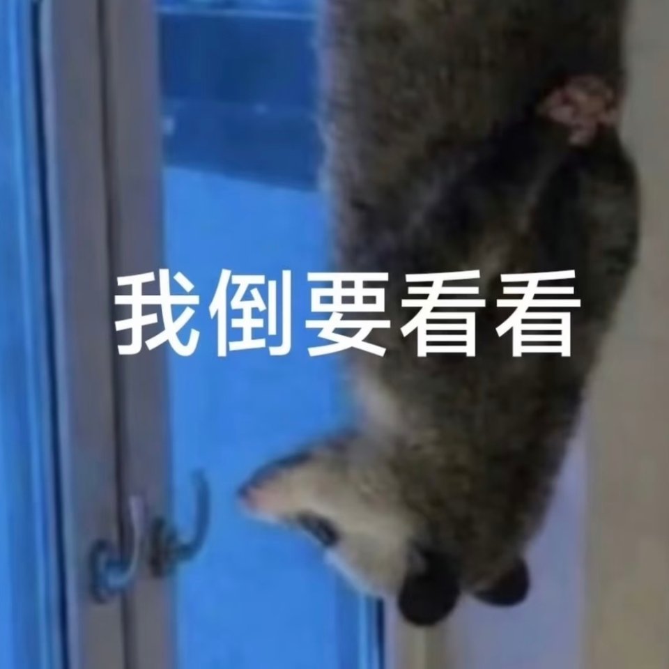 麻麻“昨天你爸说我，我今天一天没理他💢”我“喔，那就不理呗，平时还天天聊啊”麻