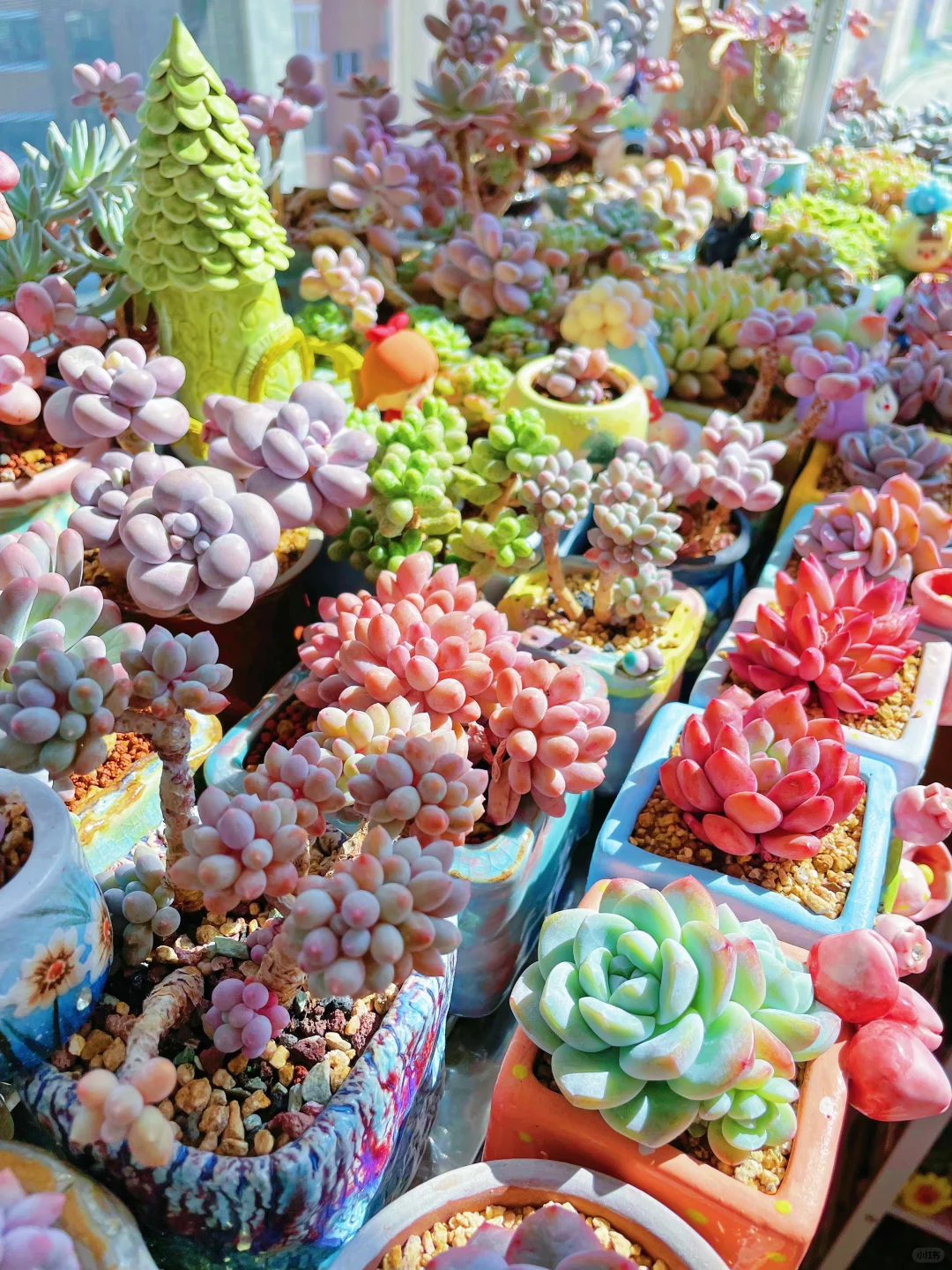 我的生活，简单舒适就好