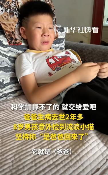 “科学无法解释！”河南，一父亲因病去世后，儿子晚上做梦，竟然梦见爸爸变成了一只猫