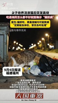 “这下后悔了吧！”福建福州，一女子见路上流浪猫可怜，便长期收养流浪猫，不料，被猫