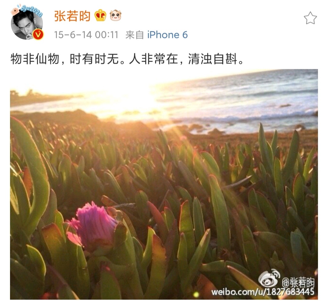 张若昀张若昀千里江山图 张若昀 年会不能停2 分享一波昀的早期文字～由内而外全方