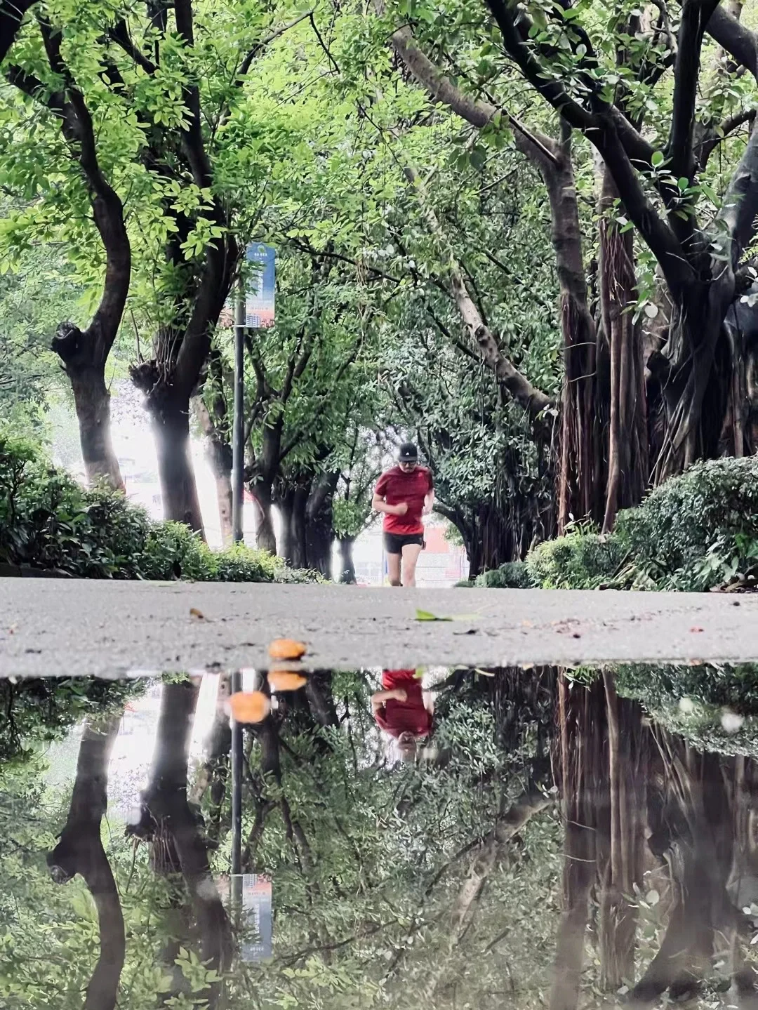 挑战一张封神！