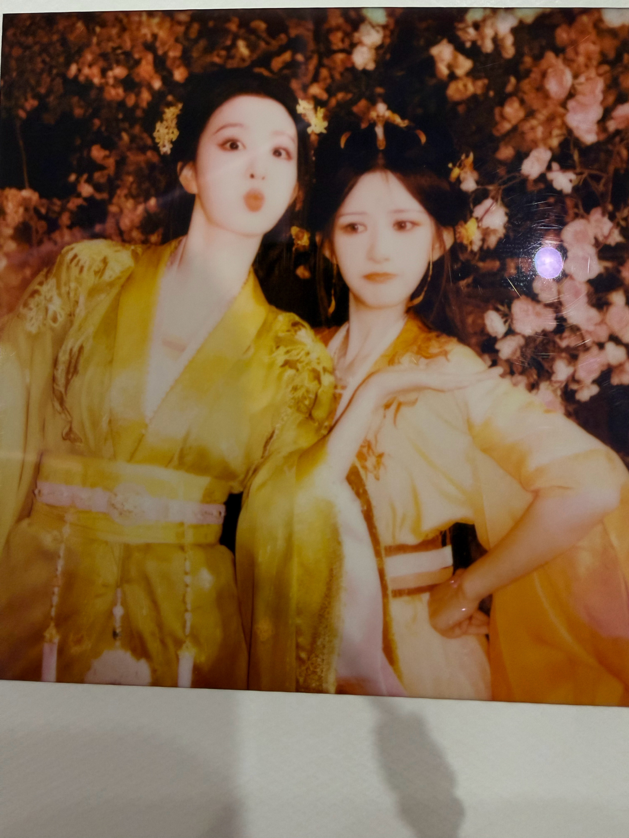 两个逗比 