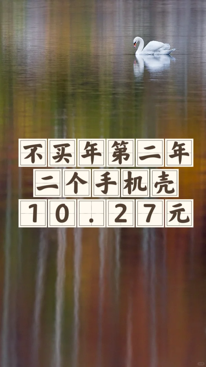 不买年第二年：全年总消费3033.03元