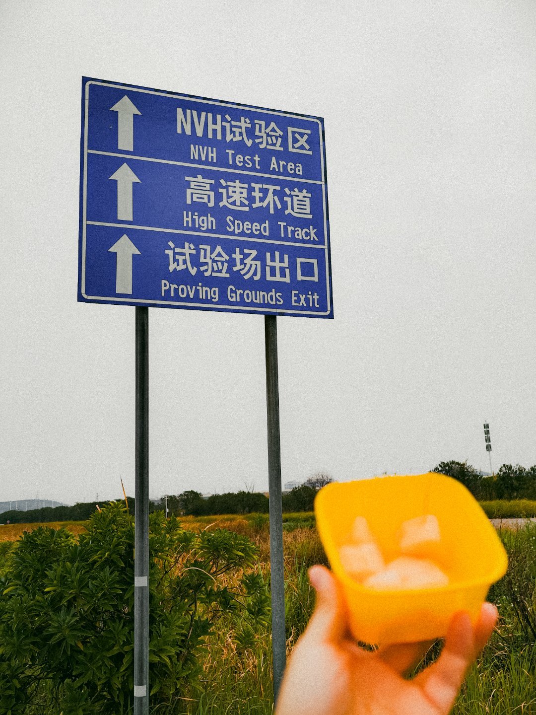 今天是试验场牛马来晒黑皮肤色号大v聊车蜘蛛是真的牛马