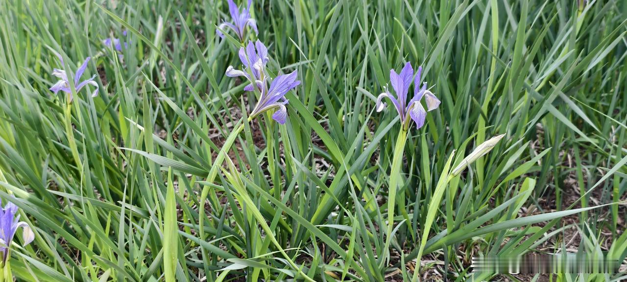 从一个被拒的方案，到年入千万，他只靠一个“连锁反应”


我认识一个做教育的朋友