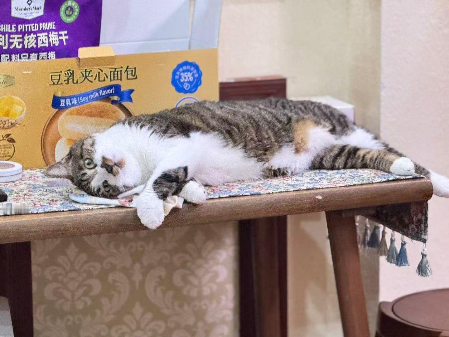 签到签到签到周一结束           