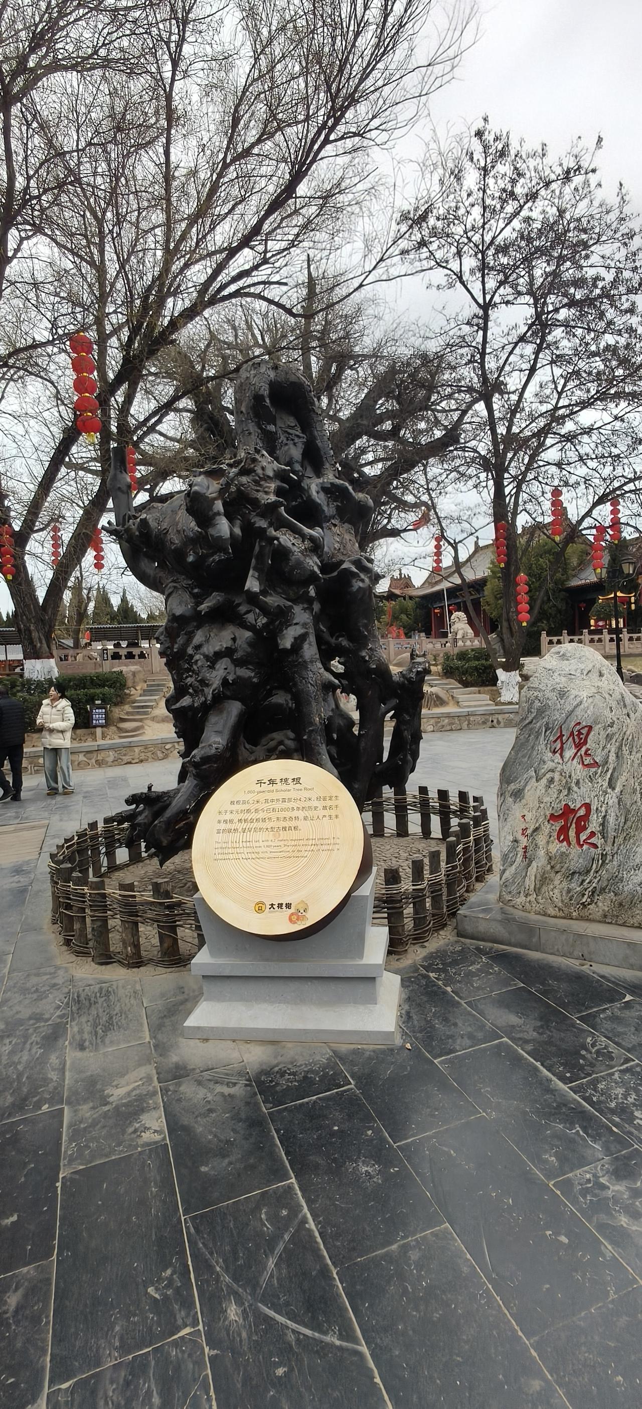 当然有啦，第二代、第三代大槐树如今枝繁叶茂，已然成为全国各地游客寻根祭祖、打卡留