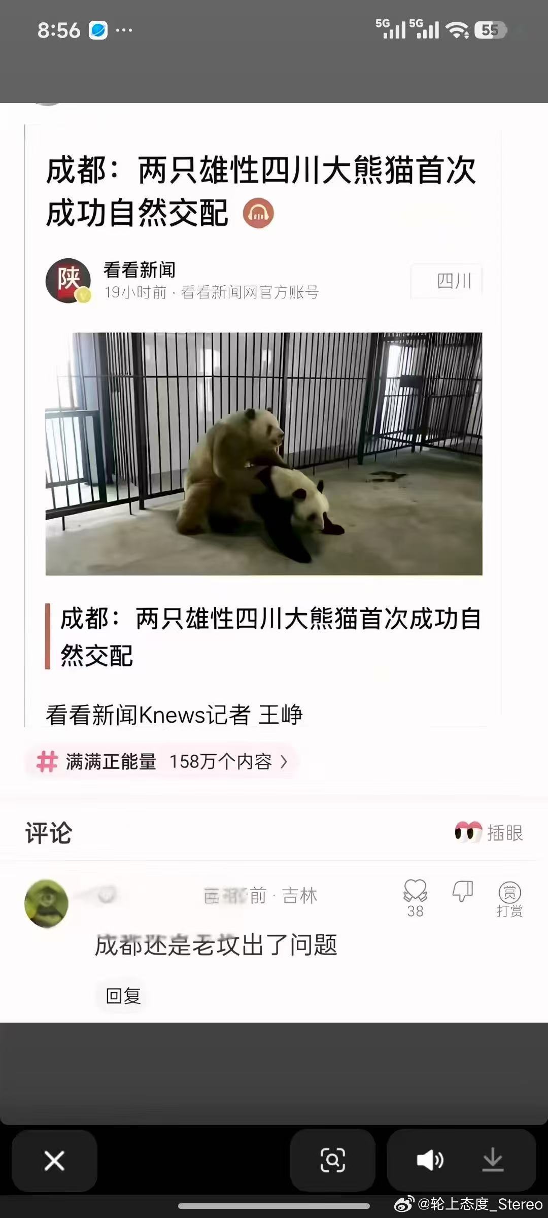 这下家里请高人也没用了