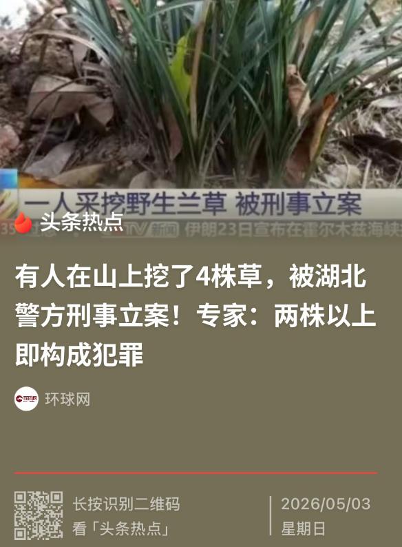 “长点心吧！”5月3日环球网报道，湖北襄阳，一男子进入高铁站准备安检时，执勤人员