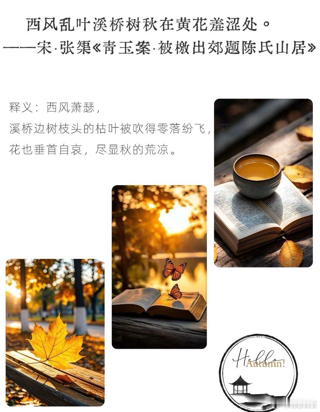 假期朋友圈文案【转存！古人用文字定格秋天[送花花]】 坐在阳台看晚霞，染红了半边