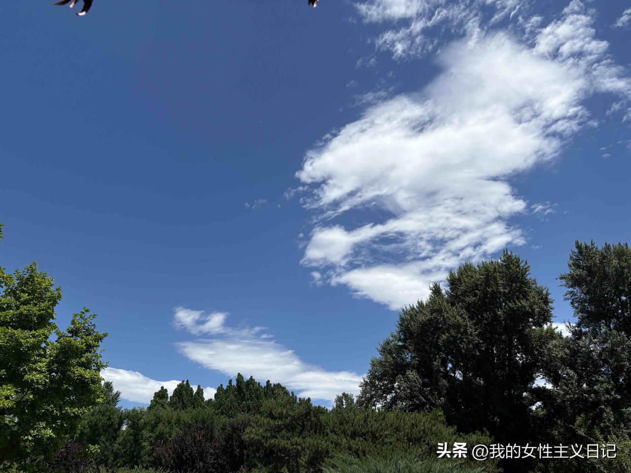 我们这一代女性，从小到大接受的教育就是成全别人。
年轻时婚恋环境天然男强女弱，你