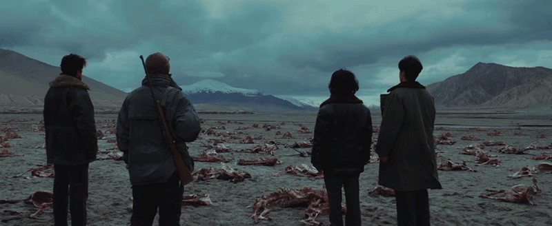 生命树定档 救大命！生命树预告好带感！和想象中的完全不一样，高原枪战、盗猎盗采、