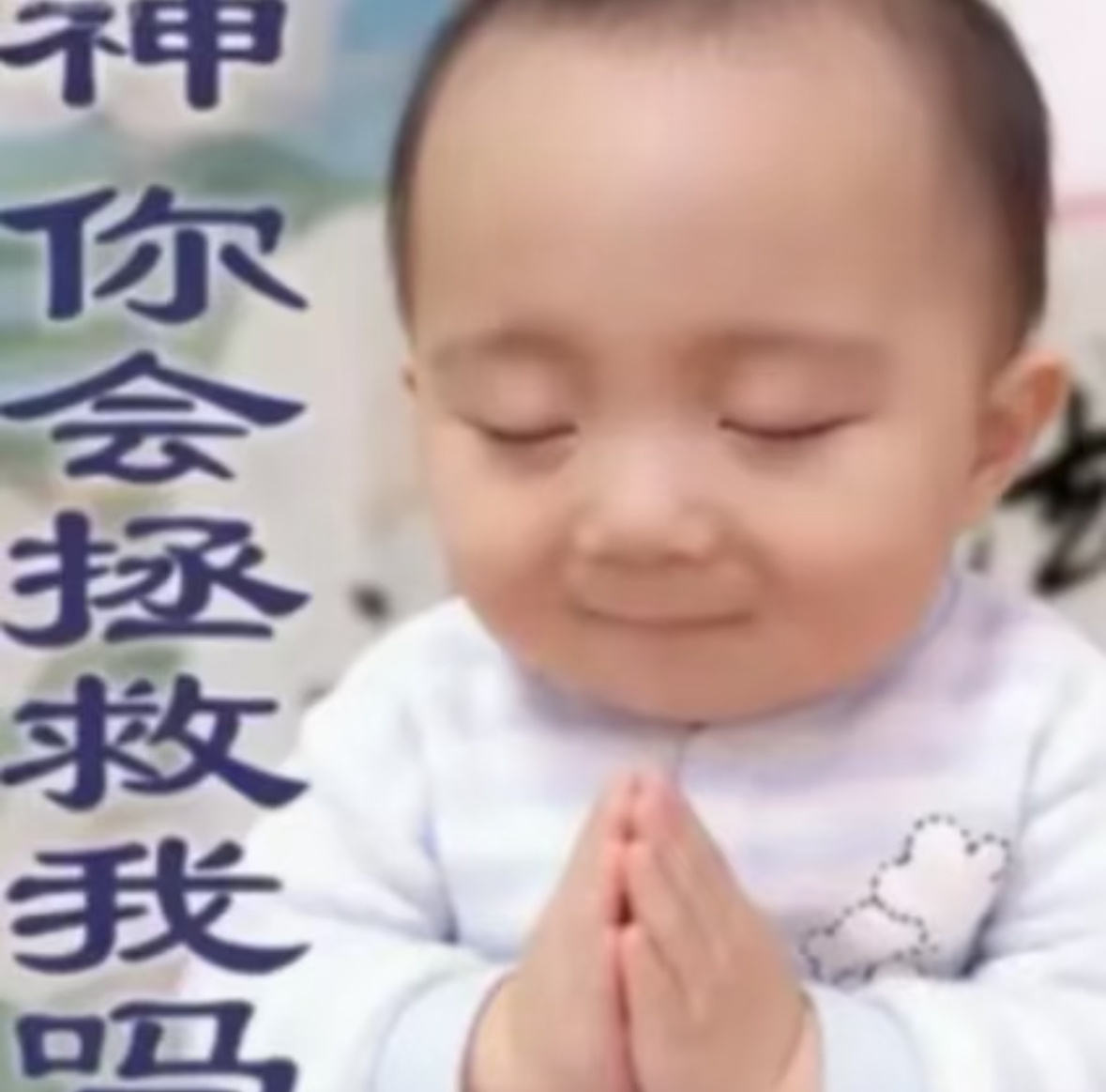 我已经预感商法要挂了 
