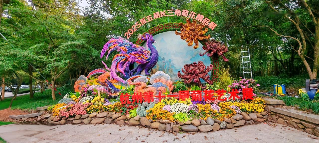一年一度的杭州植物园菊花展，对杭州市民而言: 是一场融入日常的诗意栖居，是美的熏