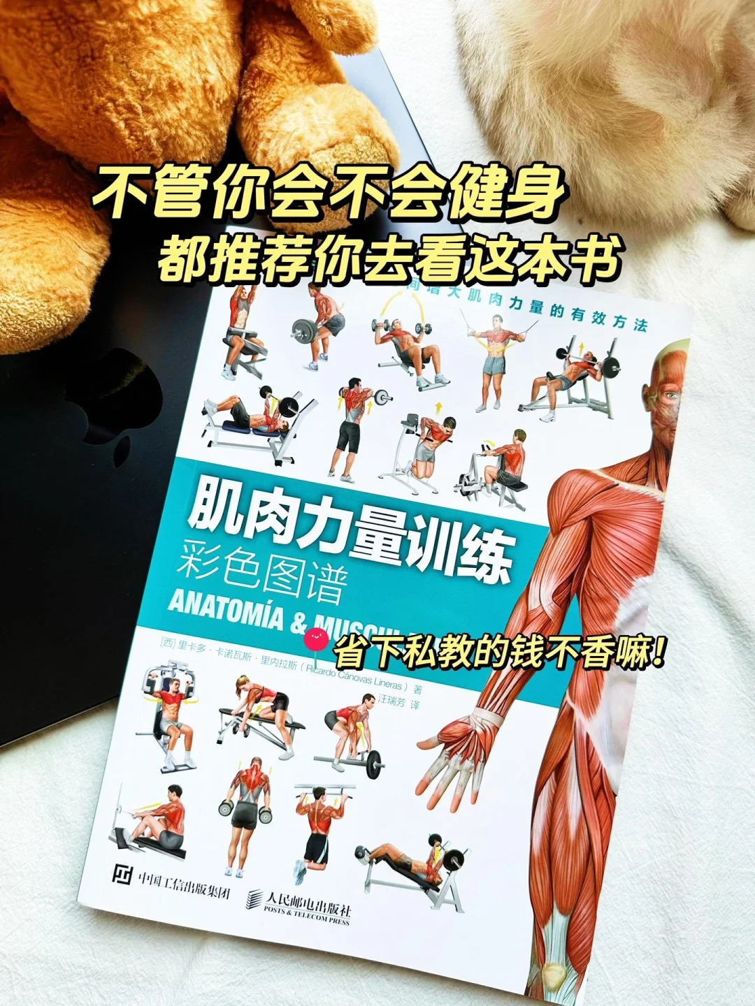 《肌肉力量训练彩色图谱》