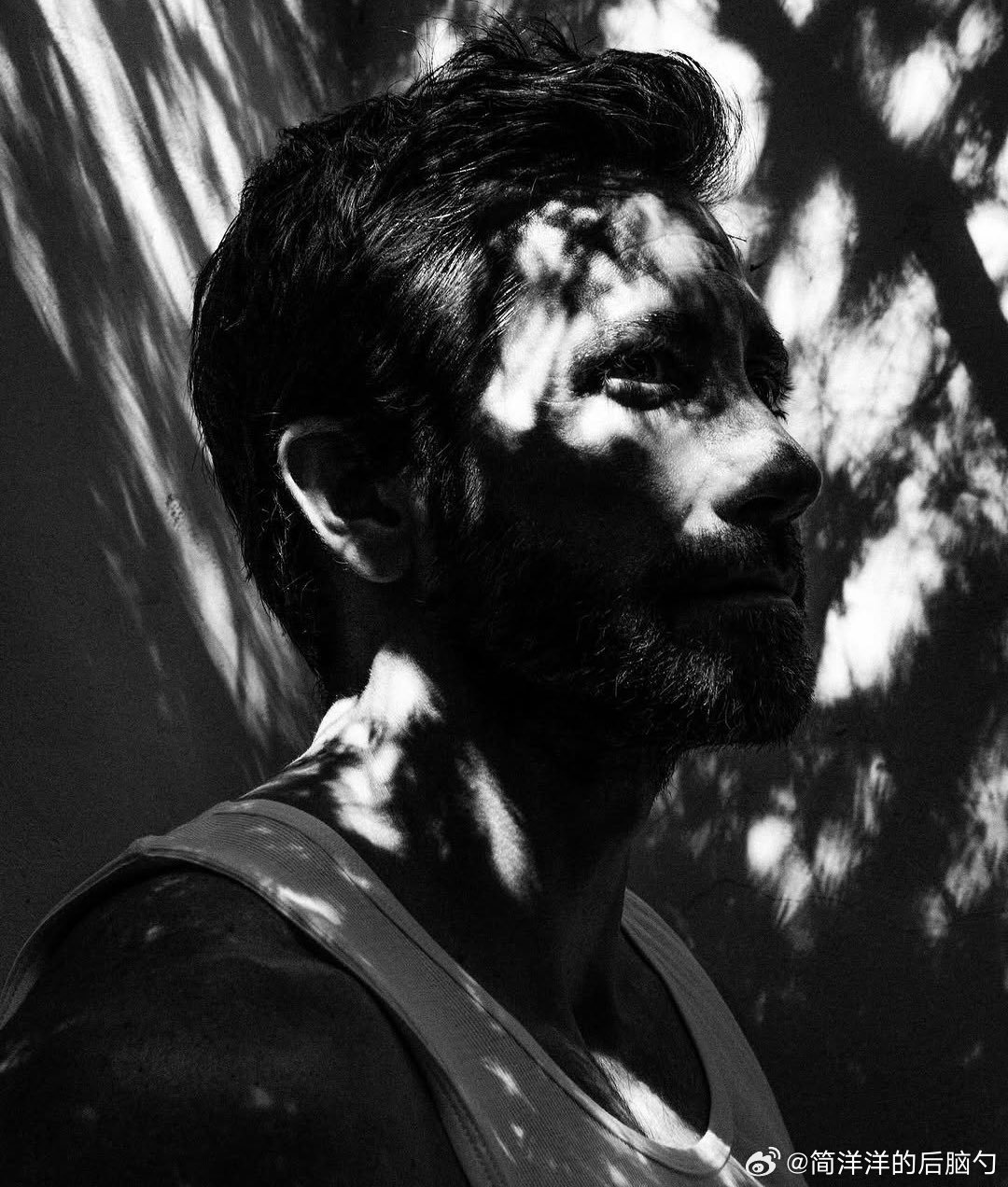 蓄了胡子的杰克·吉伦哈尔 